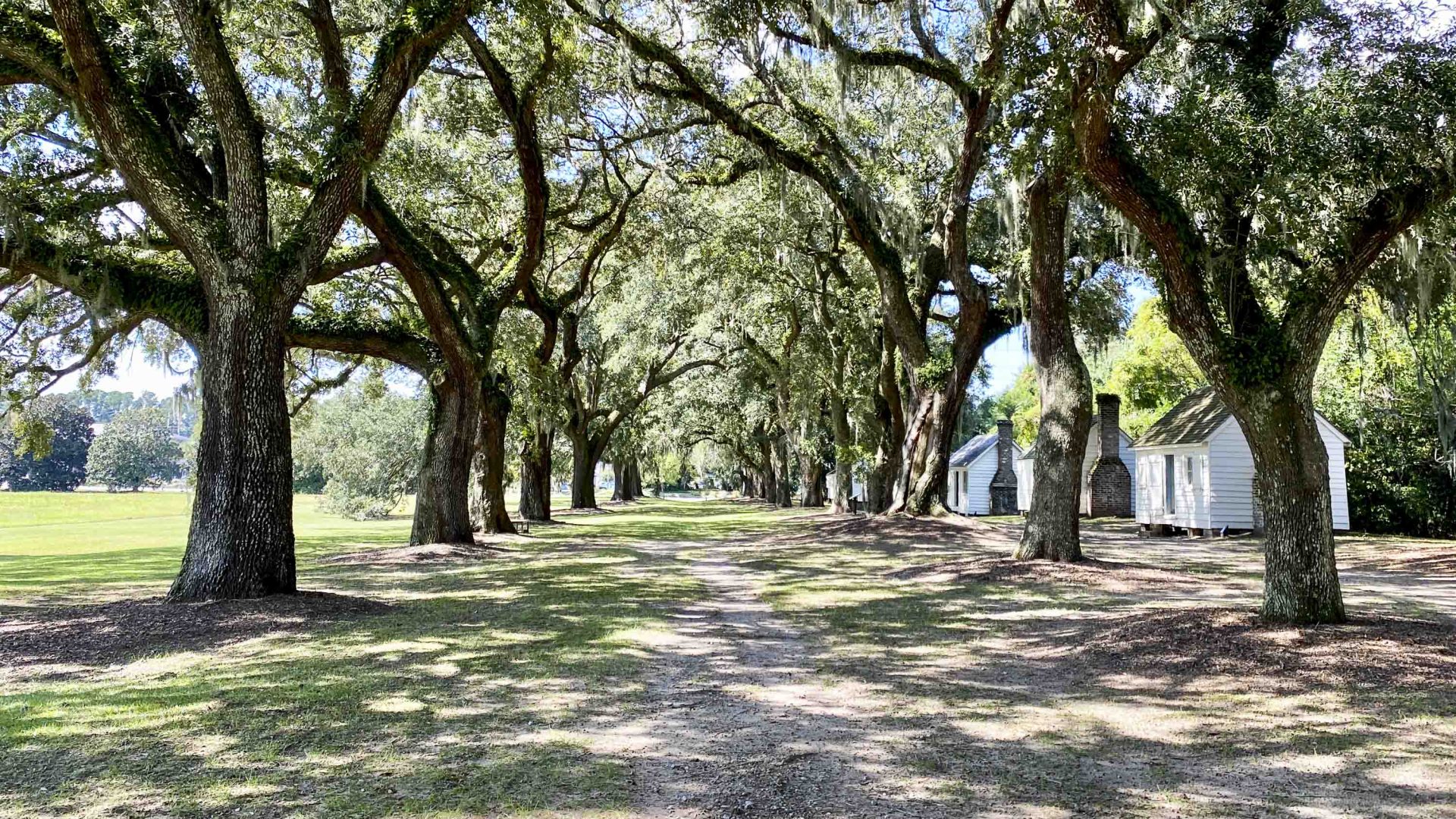 Navigating history, culture and power through travel: Reflections on Intrepid’s Gullah Geechee heritage trip